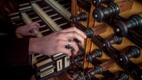 Dennis de Bruijn organist